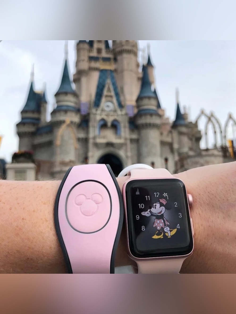 Disney magic band -pink or purple